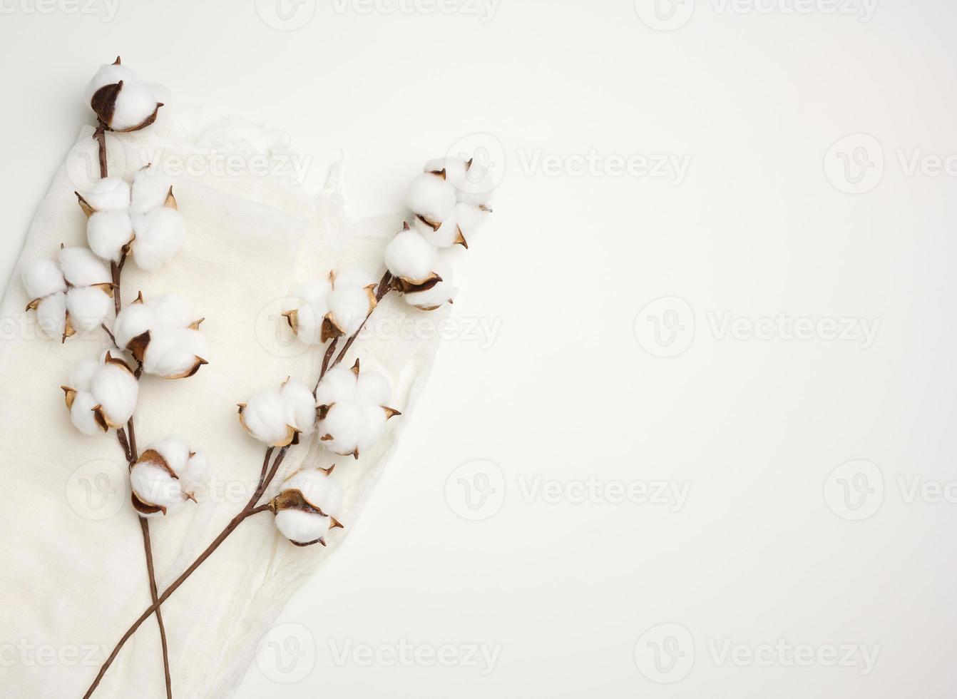 peça do branco gaze e uma raminho com branco algodão flores em a mesa, topo visualizar, cópia de espaço foto