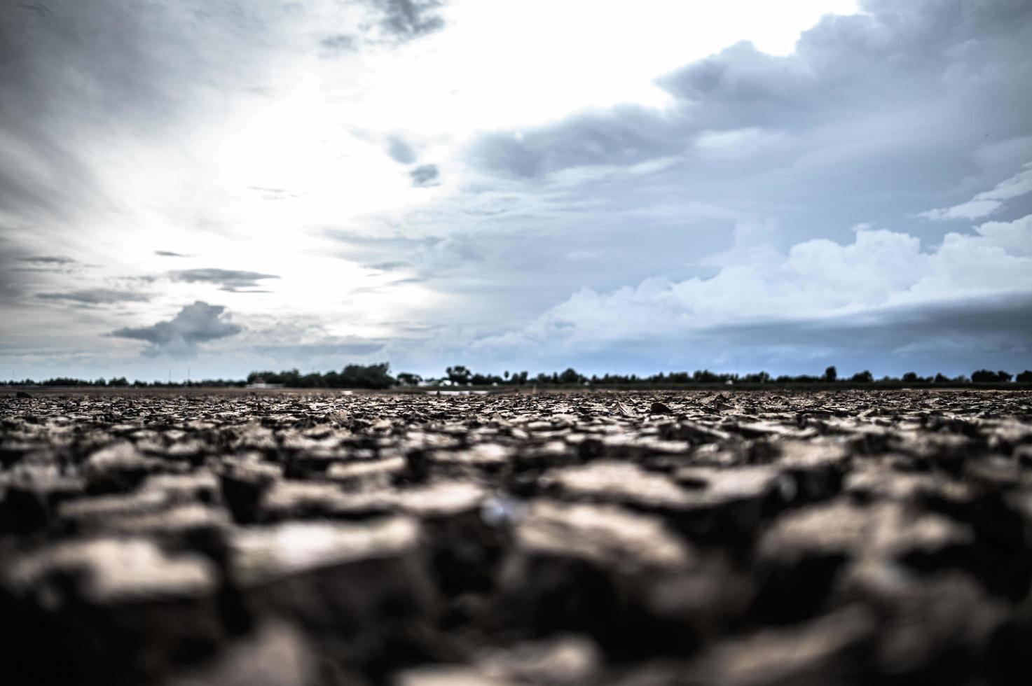 terra árida com solo seco e rachado foto