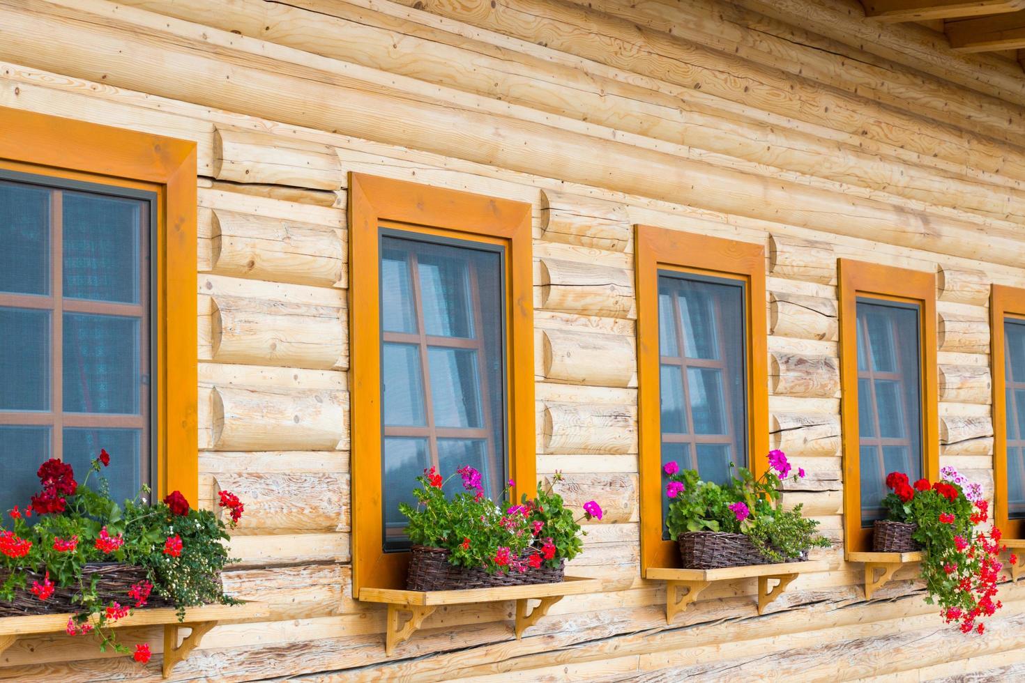 flores coloridas em vasos de flores no parapeito de uma janela de madeira em uma casa de campo na Eslováquia foto