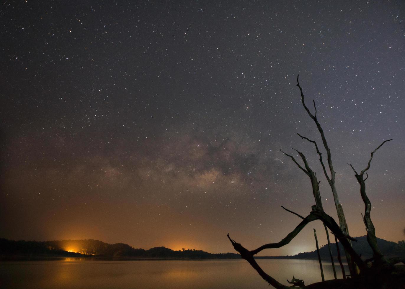 silhueta de árvores mortas ao lado de um reservatório com a Via Láctea ao fundo foto