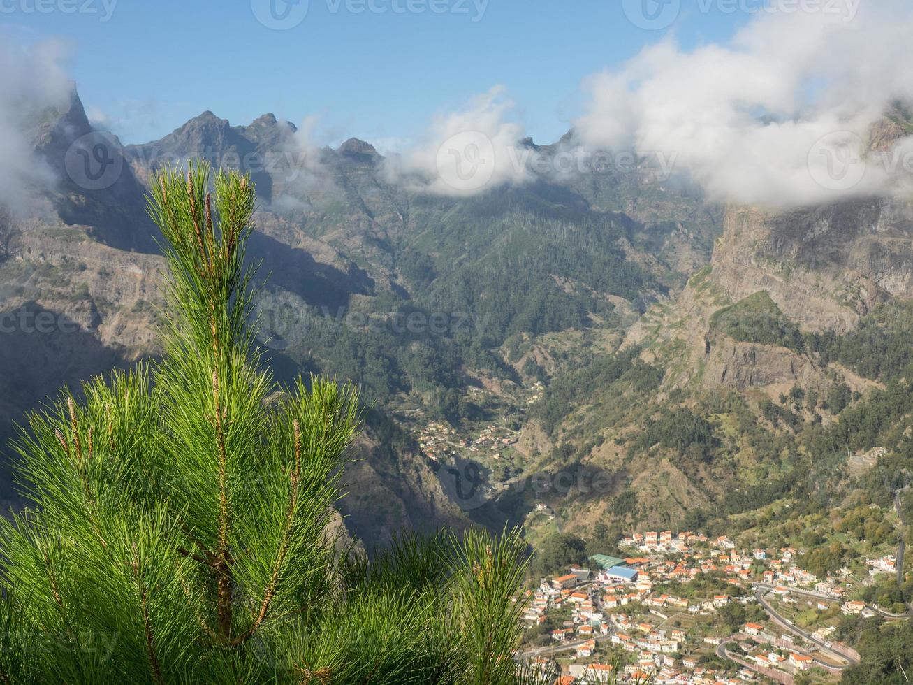 a ilha da madeira foto