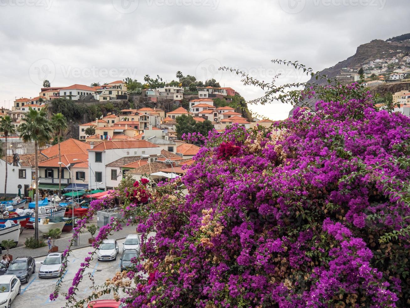 funchal e a ilha do Madeira foto