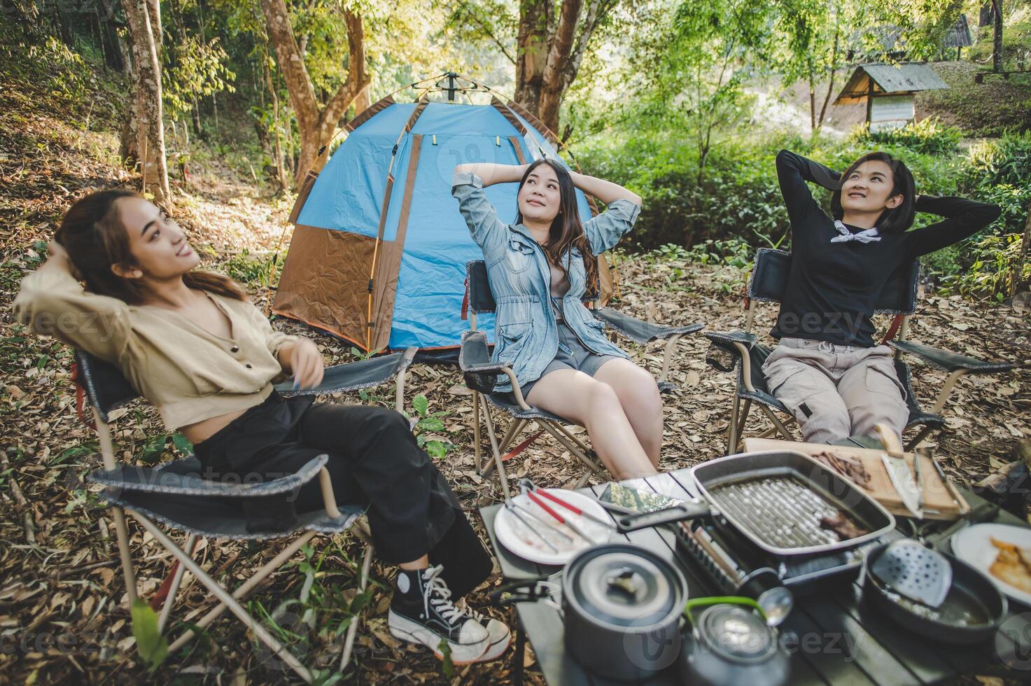 grupo do menina amigos apreciar com acampamento dentro parque juntos foto