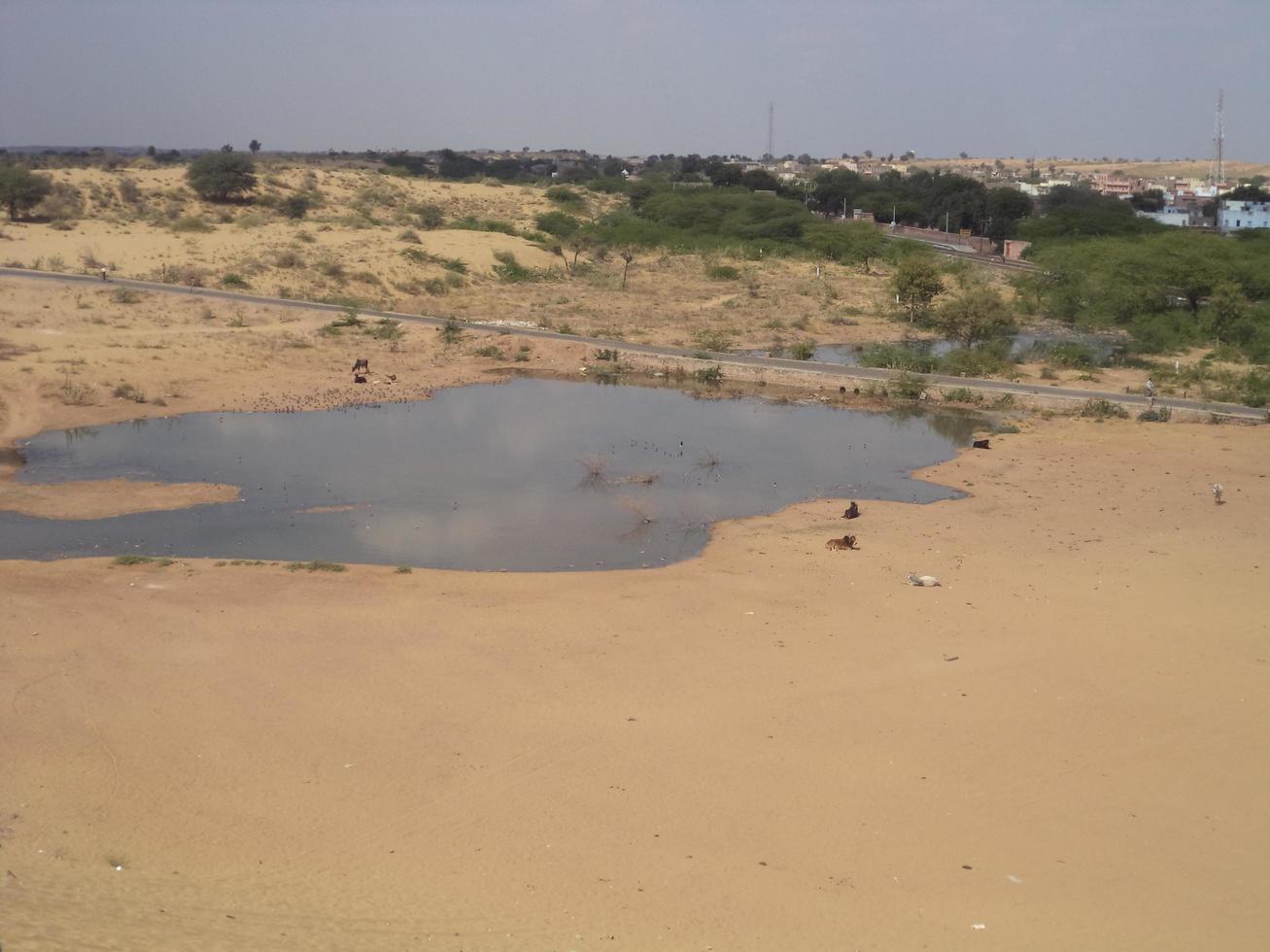 lago dentro uma deserto foto