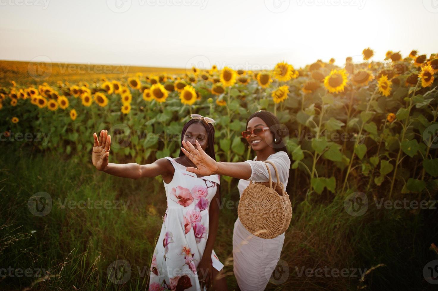 mulher de dois amigos negros muito jovens usam pose de vestido de verão em um campo de girassol. foto