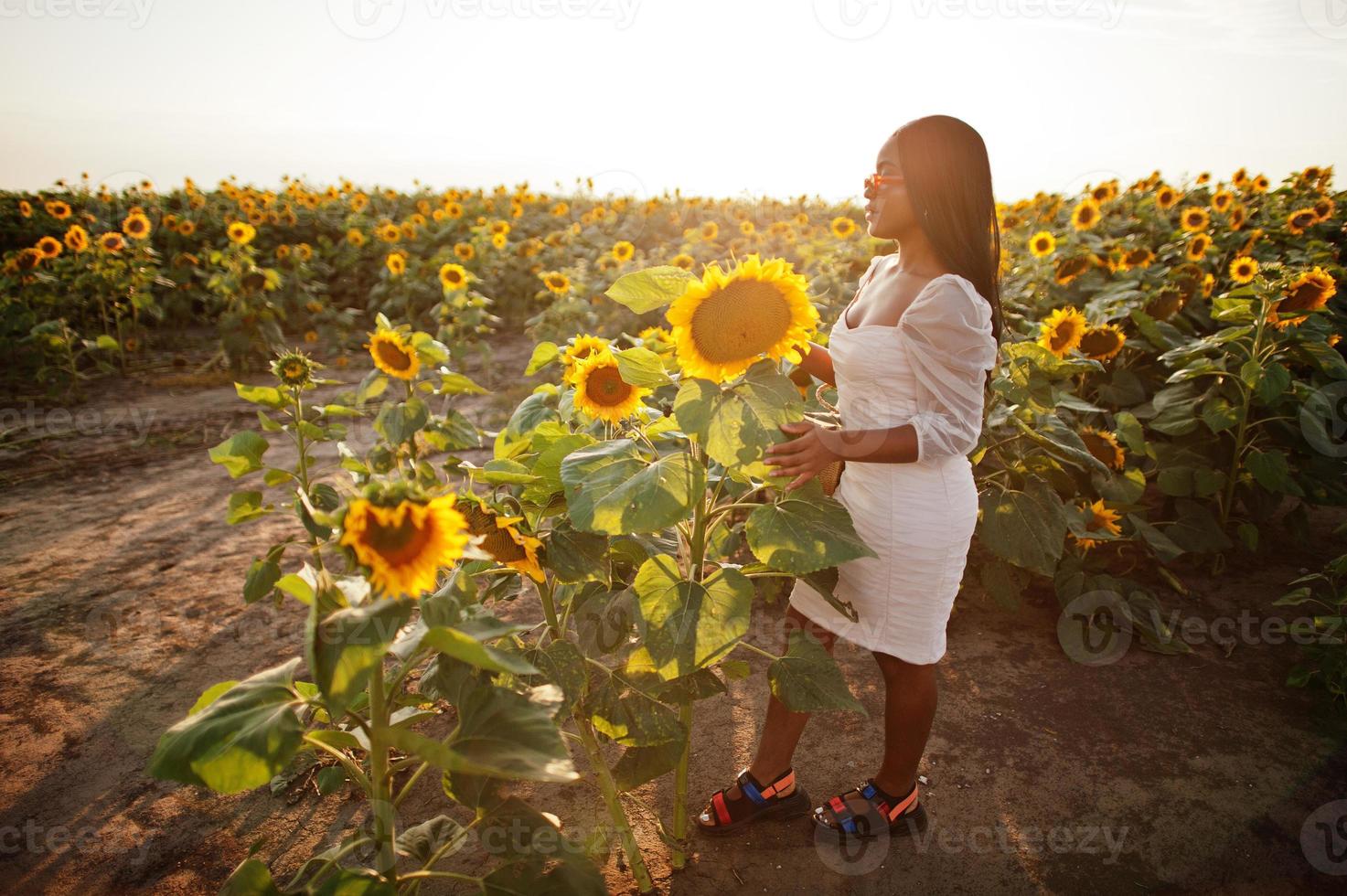 bela jovem negra usar pose de vestido de verão em um campo de girassol. foto