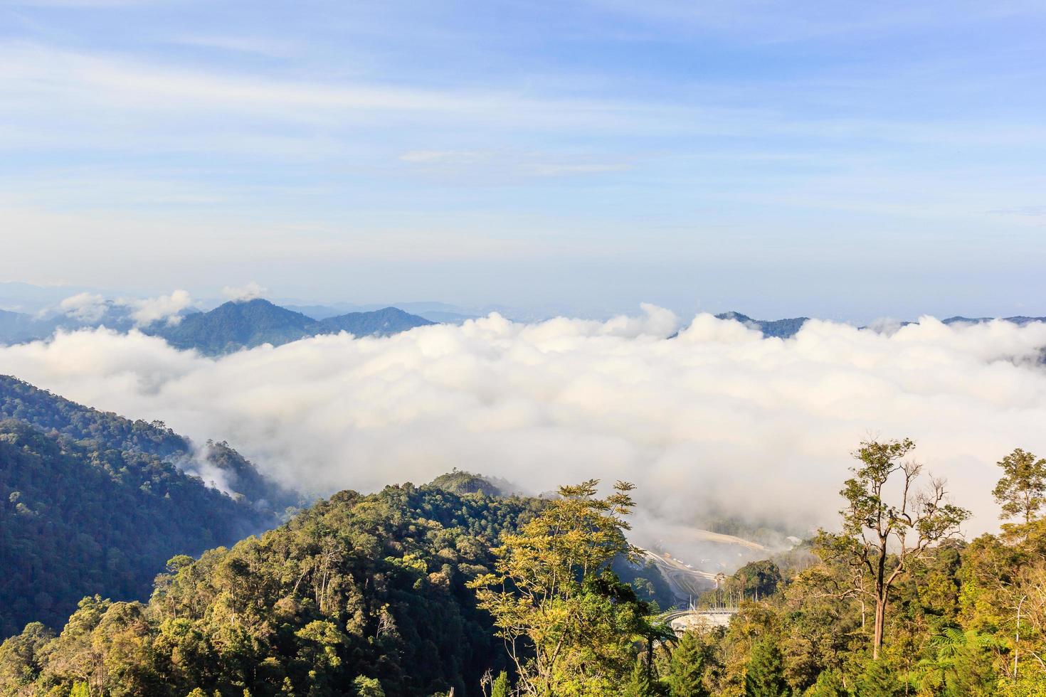 nevoeiro matinal nas montanhas foto