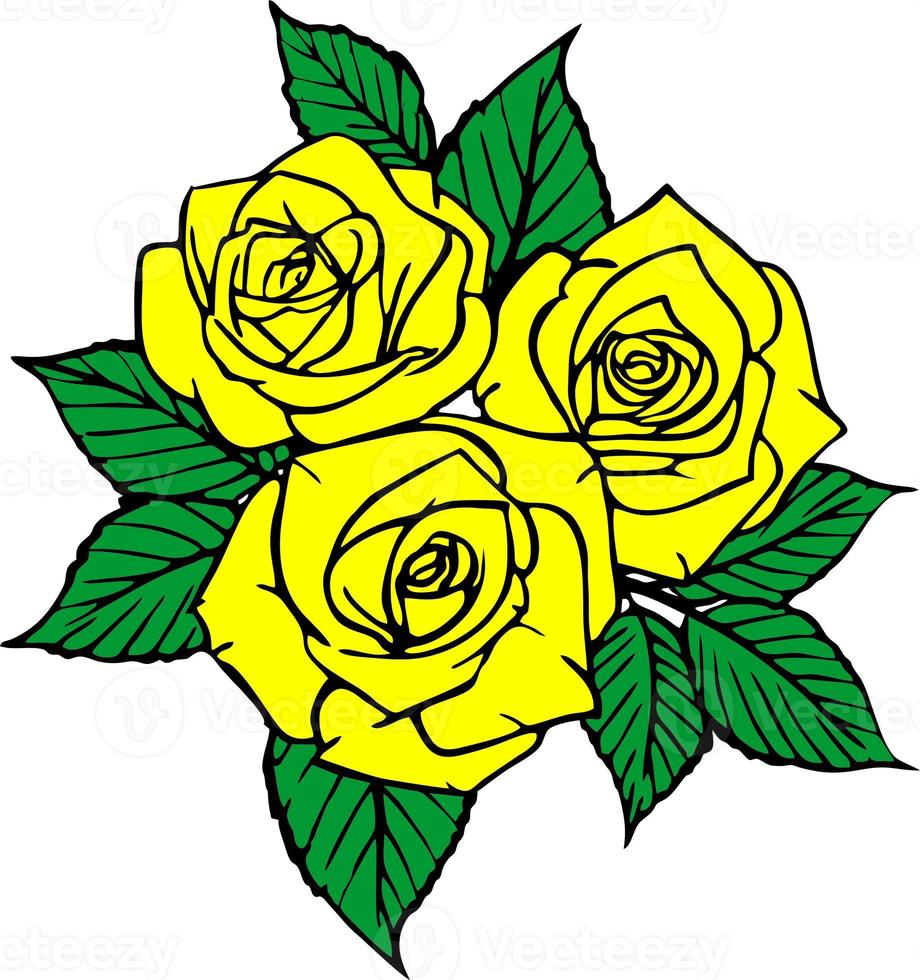 cor desenhando do uma ramalhete do três amarelo rosas com uma Preto esboço em uma branco fundo, logotipo, decoração foto