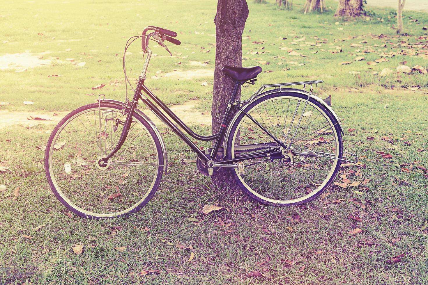 vintage bicicleta e árvore dentro jardim foto