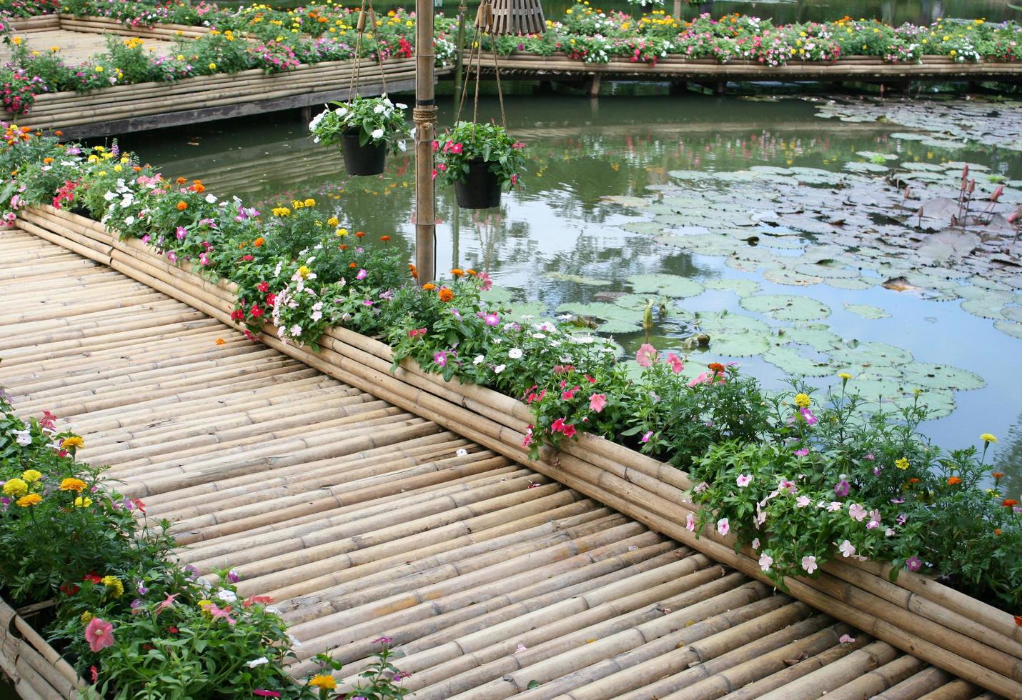 ponte de bambu com flor no lago foto