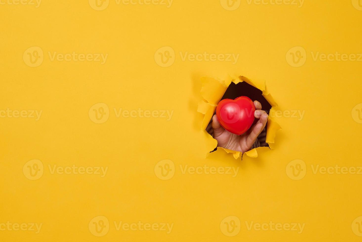 mão feminina segurando um coração vermelho sobre um fundo amarelo. parte do corpo sobressai do papel rasgado foto