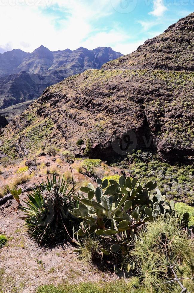 paisagem rochosa nas ilhas canárias foto