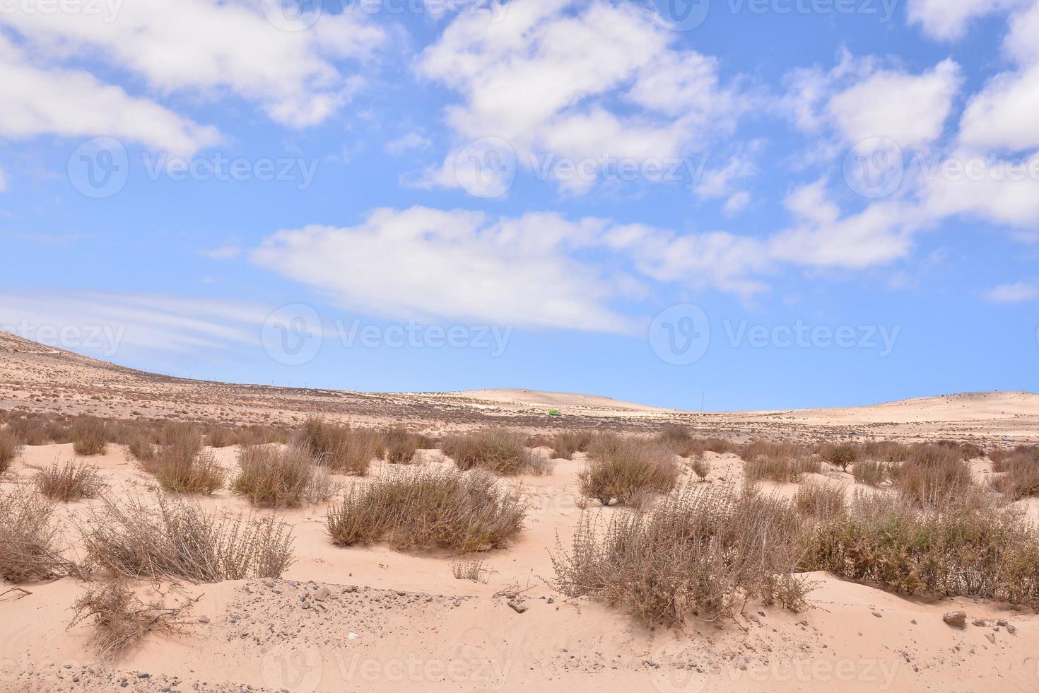 vista panorâmica do deserto foto