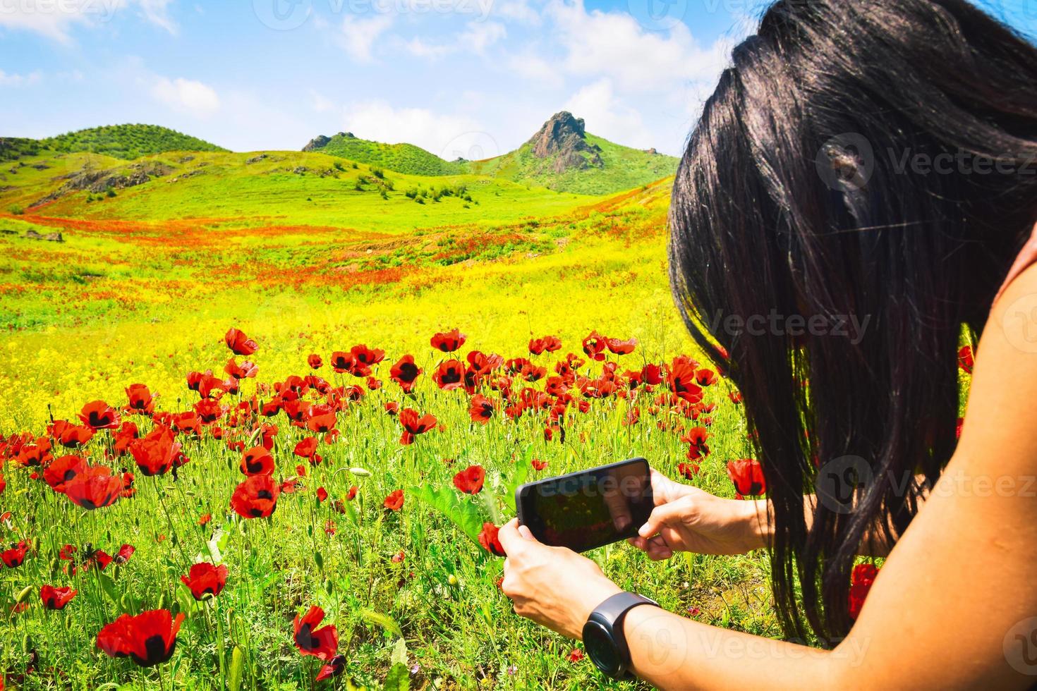 fechar acima Visão mão detém inteligente telefone com flores dentro exibição ao ar livre dentro papoula flor campo. Smartphone fotografia e conteúdo criação conceito. foto