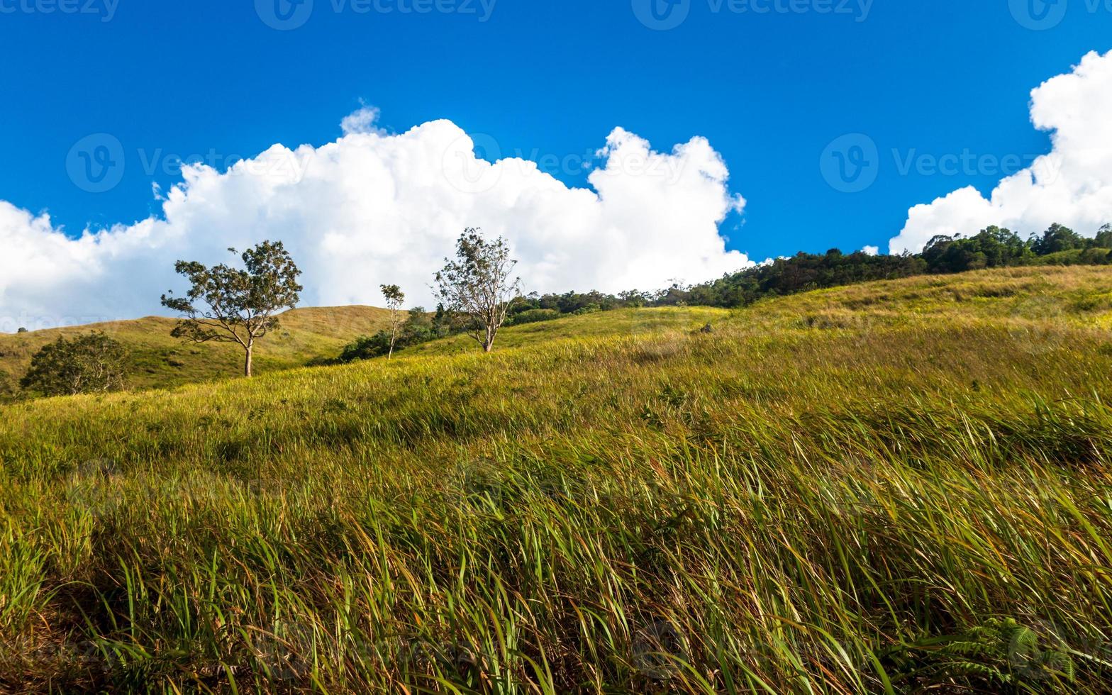 ensolarado dia panorama sobre Prado com azul céu foto