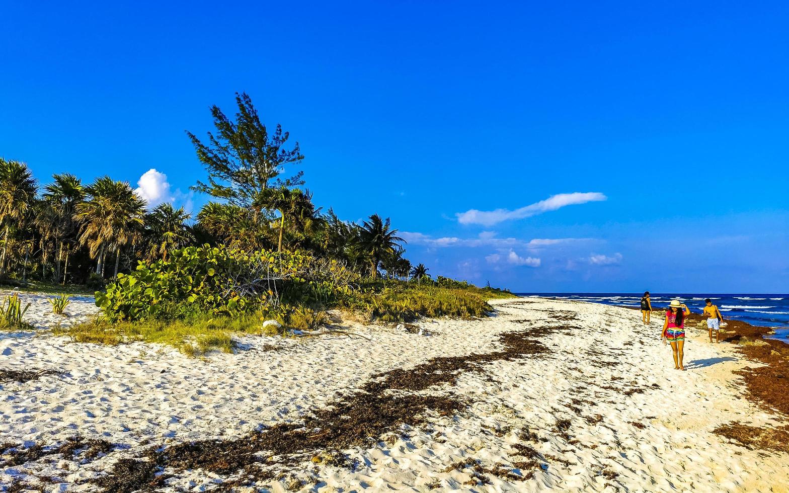 playa del carmen quintana roo México 2021 tropical caribe de praia areia Palma pessoas playa del carmen México. foto