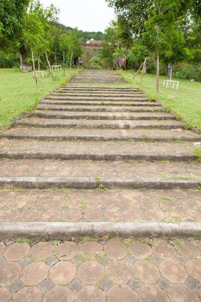 caminho de pedra no parque foto