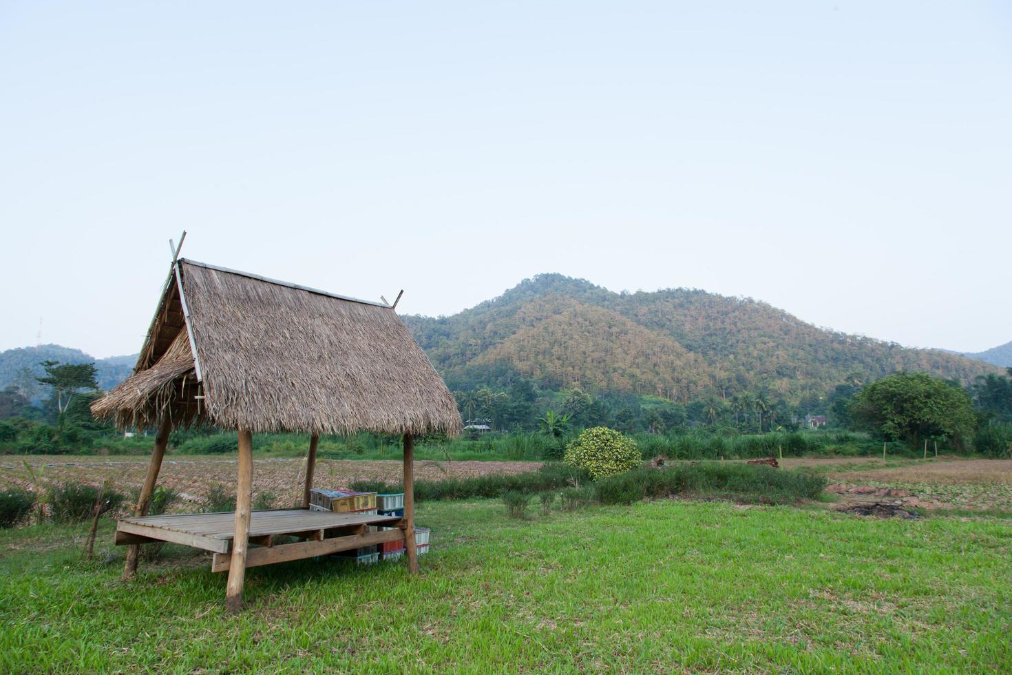 cabana no campo na Tailândia rural foto