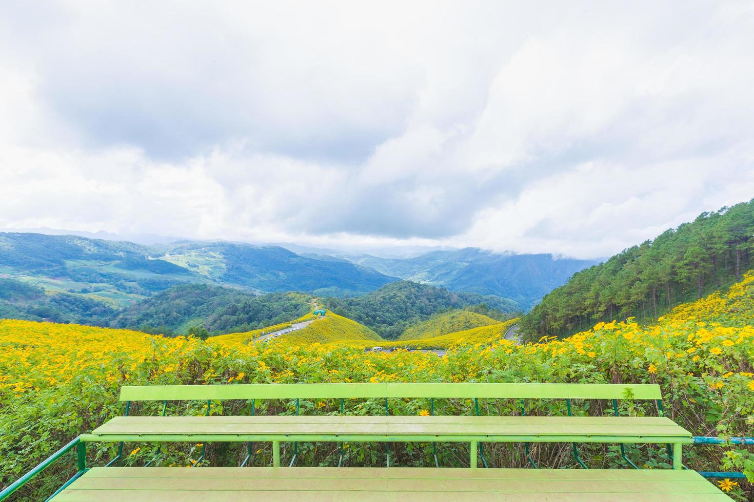 ponto de vista, flores amarelas e montanhas foto