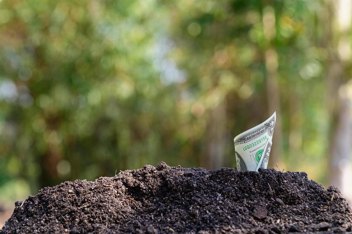 o crescimento do negócio financeiro foto