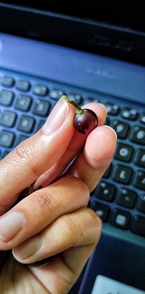 cortada tiro do uma homem segurando pequeno uvas contra uma computador portátil fundo. foto