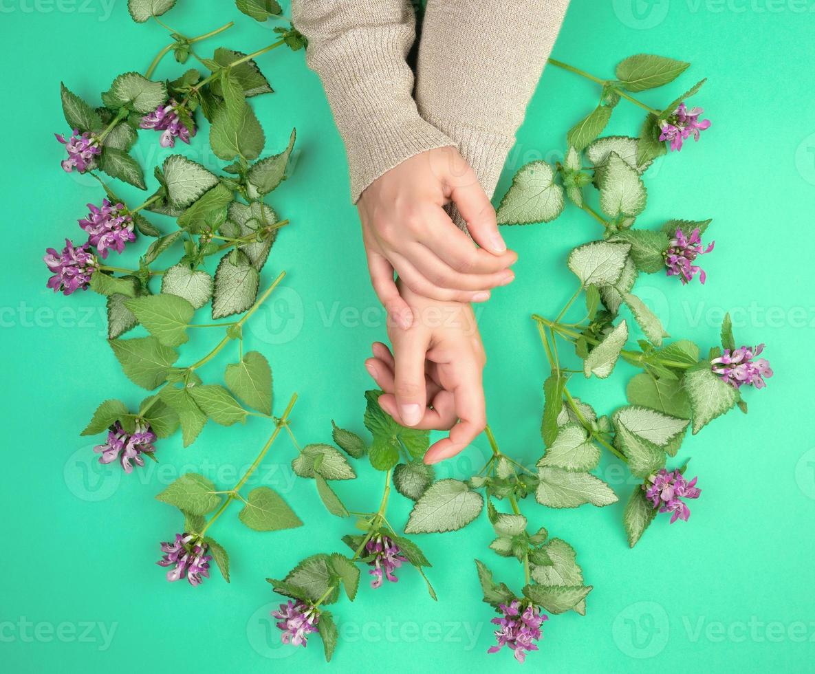 dois fêmea mãos e Rosa pequeno flores foto