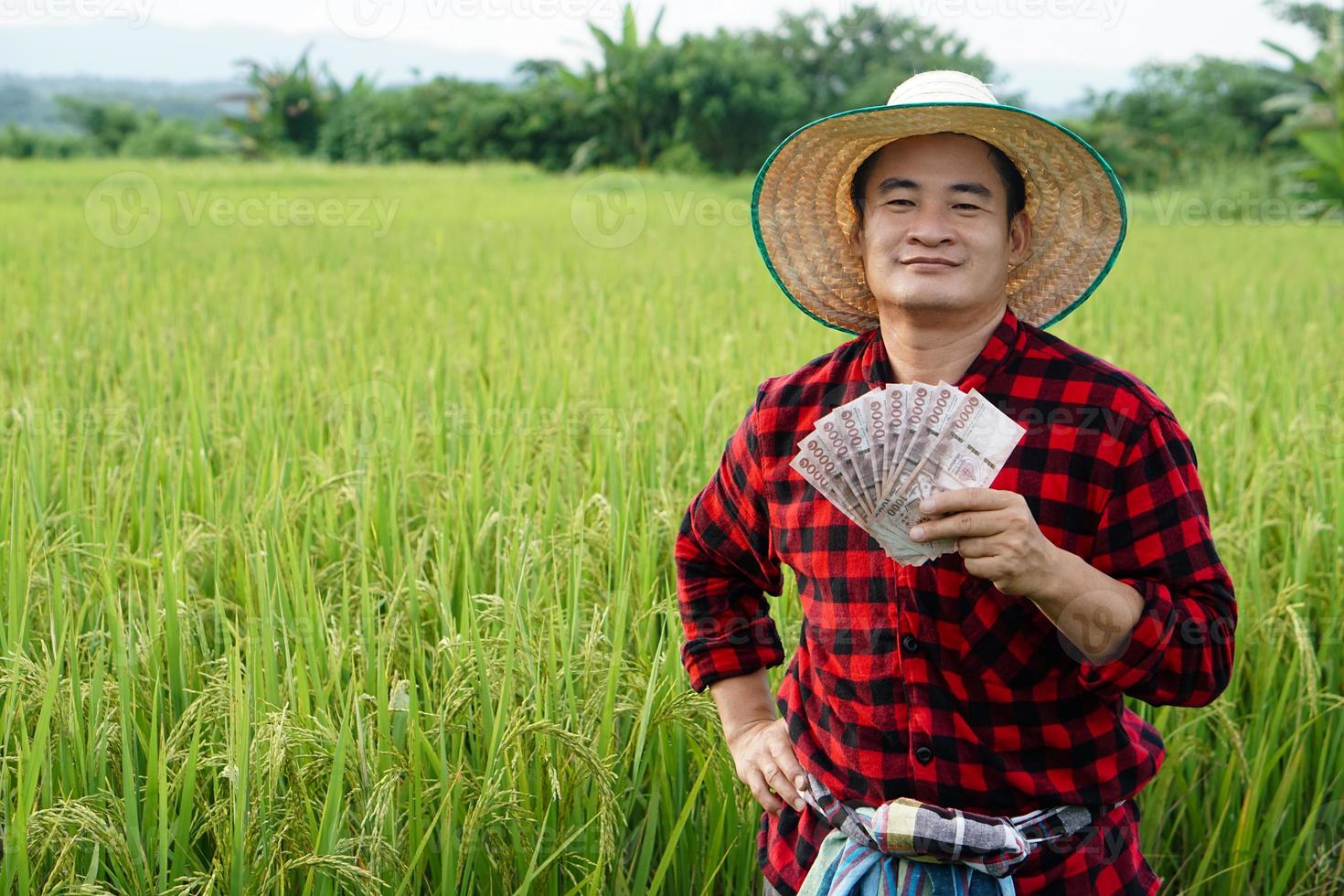 ásia agricultor homem é às arroz campo, desgasta chapéu e vermelho xadrez camisa, aguarde tailandês nota de banco dinheiro. conceito , agricultor feliz para pegue lucro, renda, agricultura apoiando dinheiro. foto