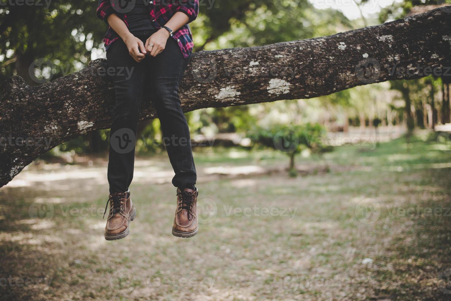 mulher jovem alpinista sentada no galho de uma árvore foto