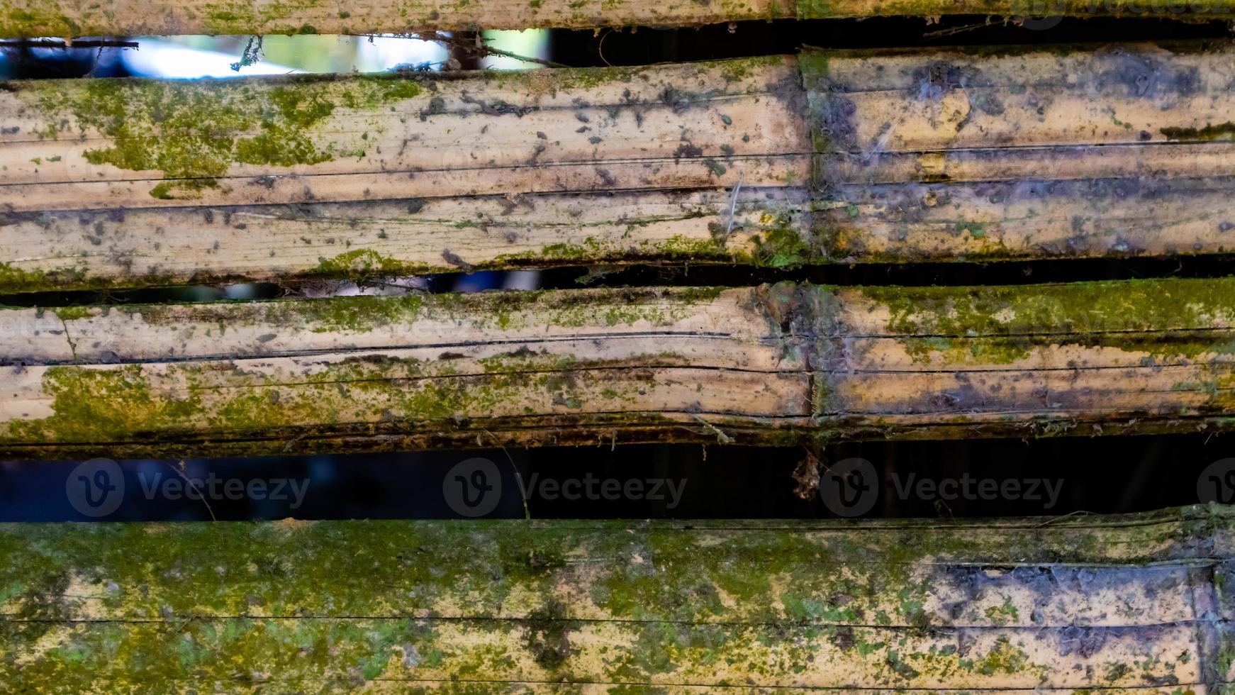 textura de parede de bambu musgoso como pano de fundo foto