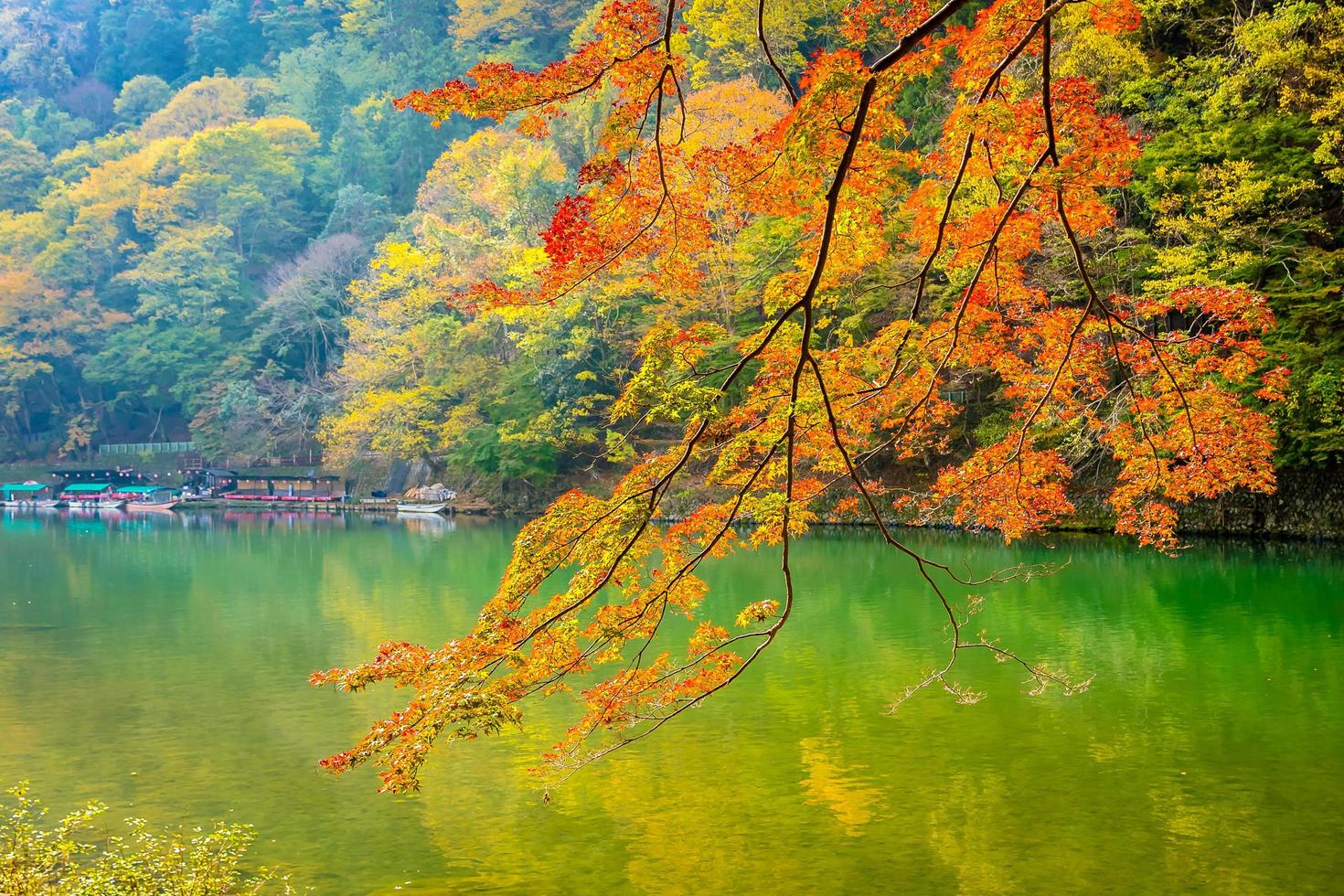 lindo rio arashiyama em kyoto, japão foto