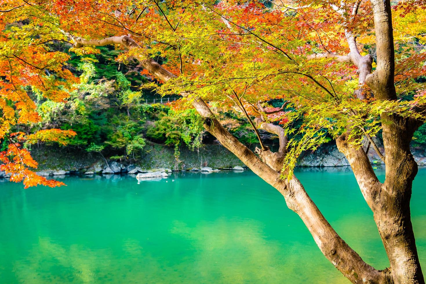 lindo rio arashiyama em kyoto, japão foto