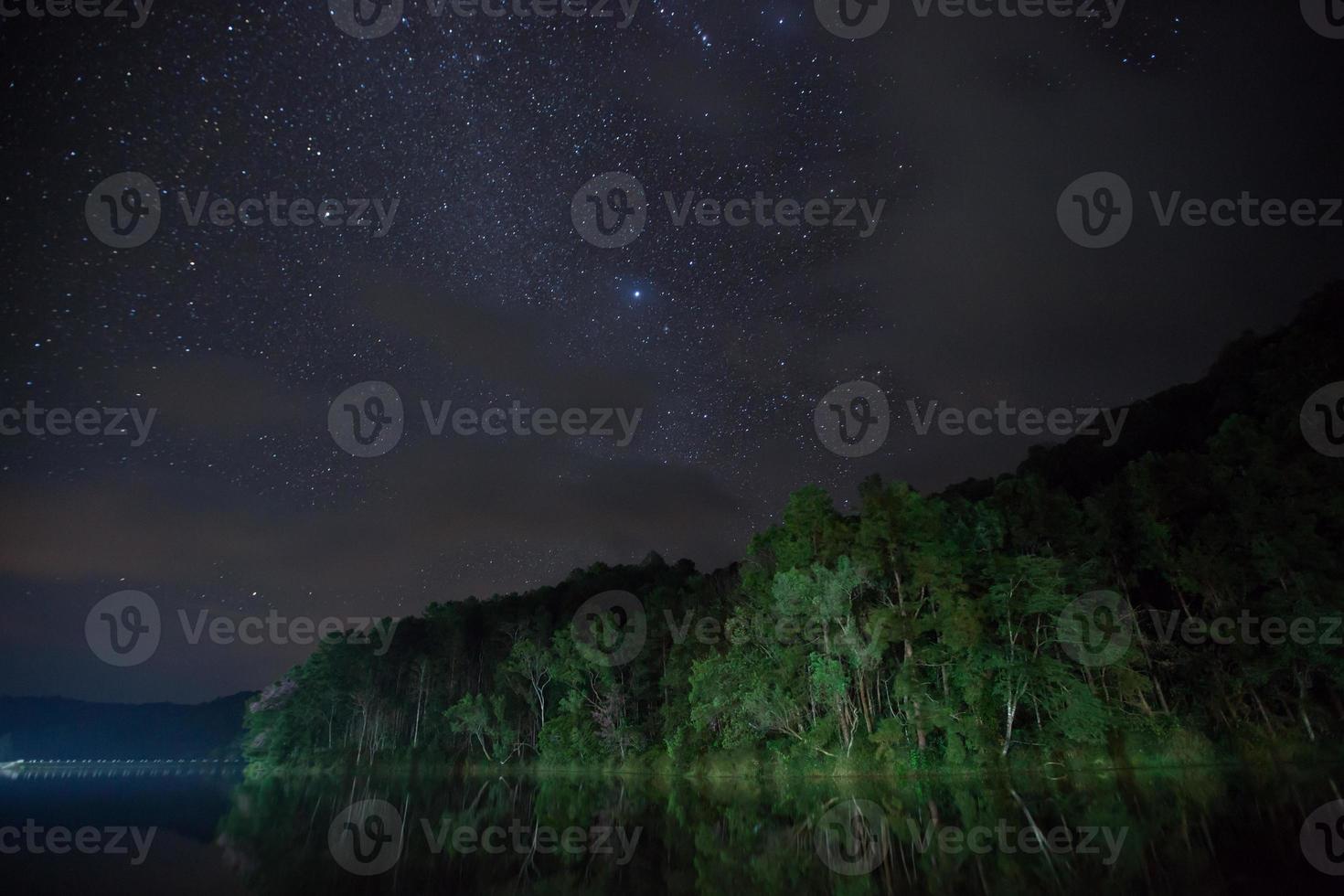 céu estrelado acima da água e árvores foto