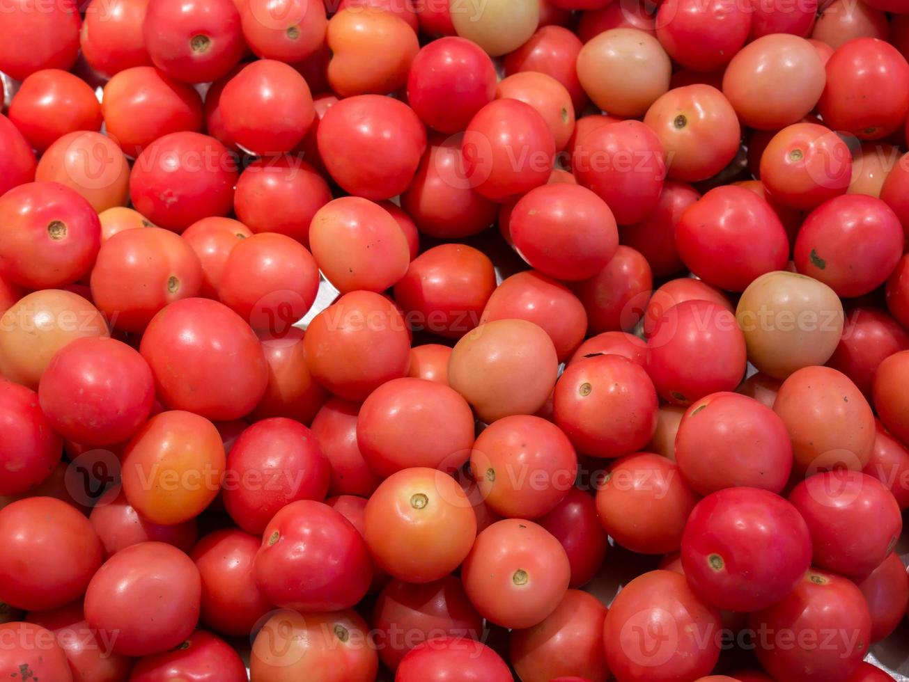 monte de tomates foto