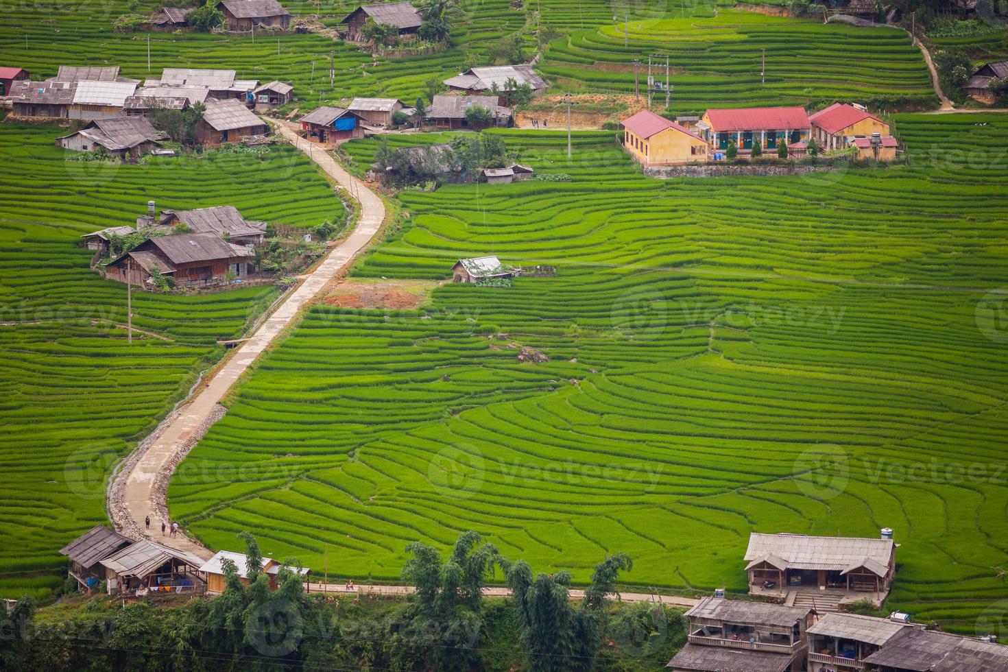 vista aérea de uma vila e campos de arroz foto