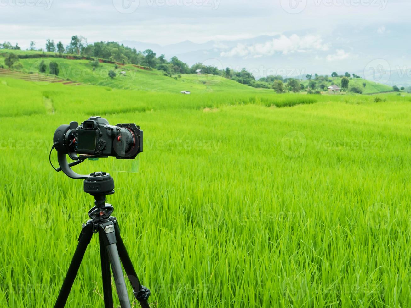 câmera de vídeo em um campo verde foto