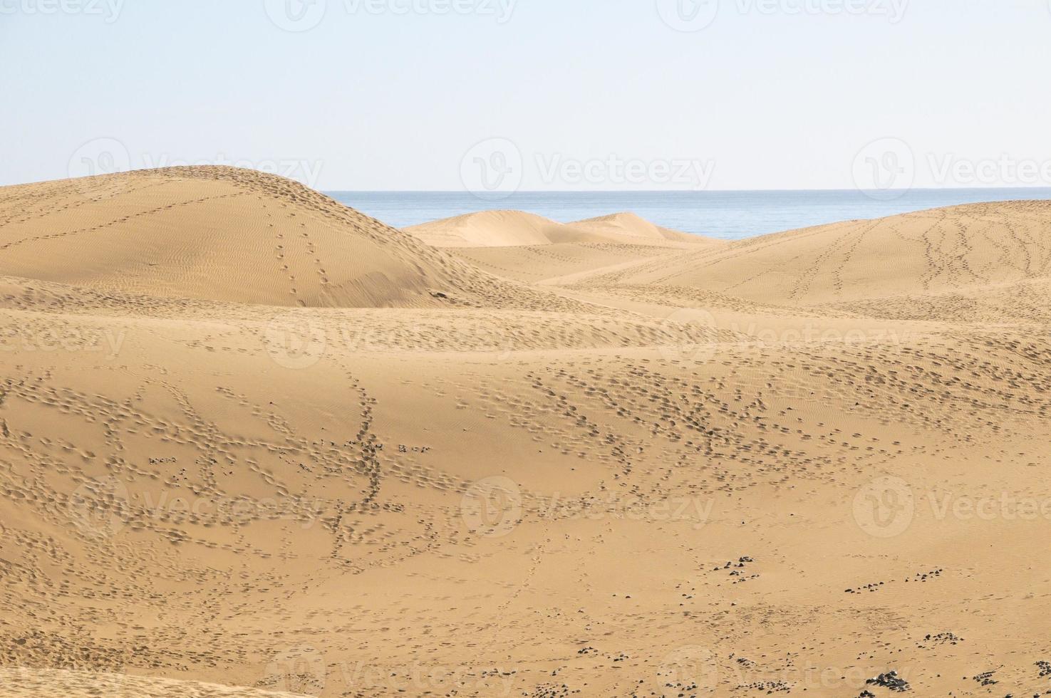 dunas de areia à beira-mar foto