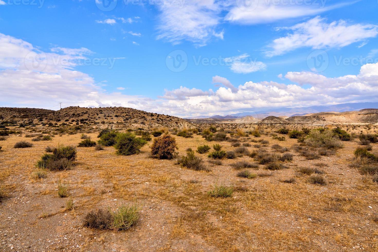 paisagem do deserto no verão foto