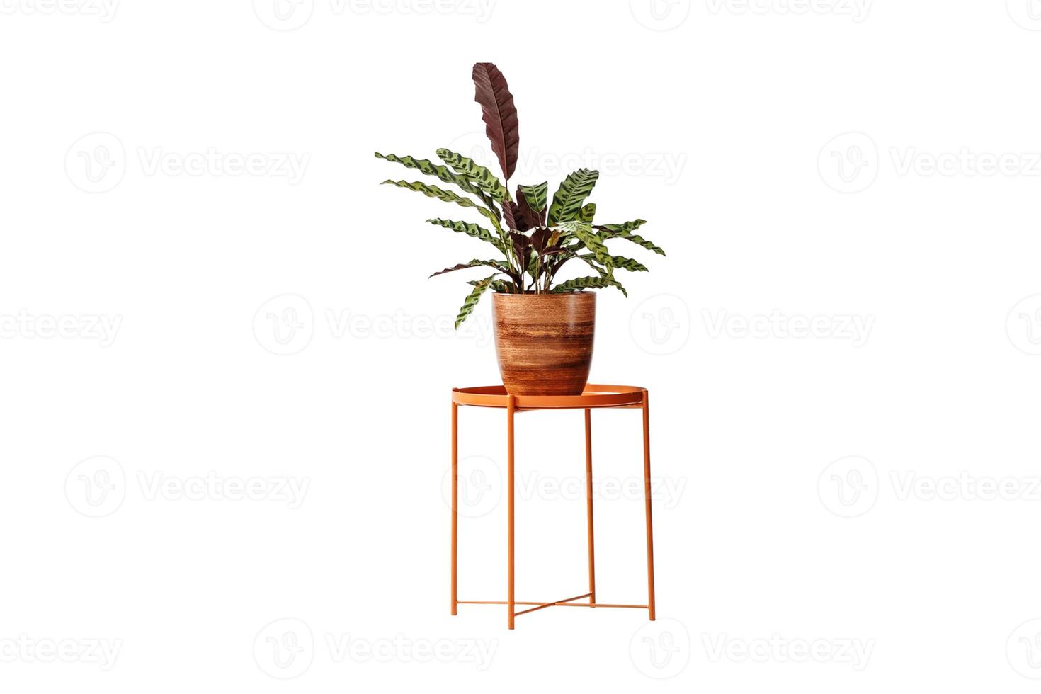 153 laranja lado mesa com uma vaso de flores e plantar isolado em uma transparente fundo foto