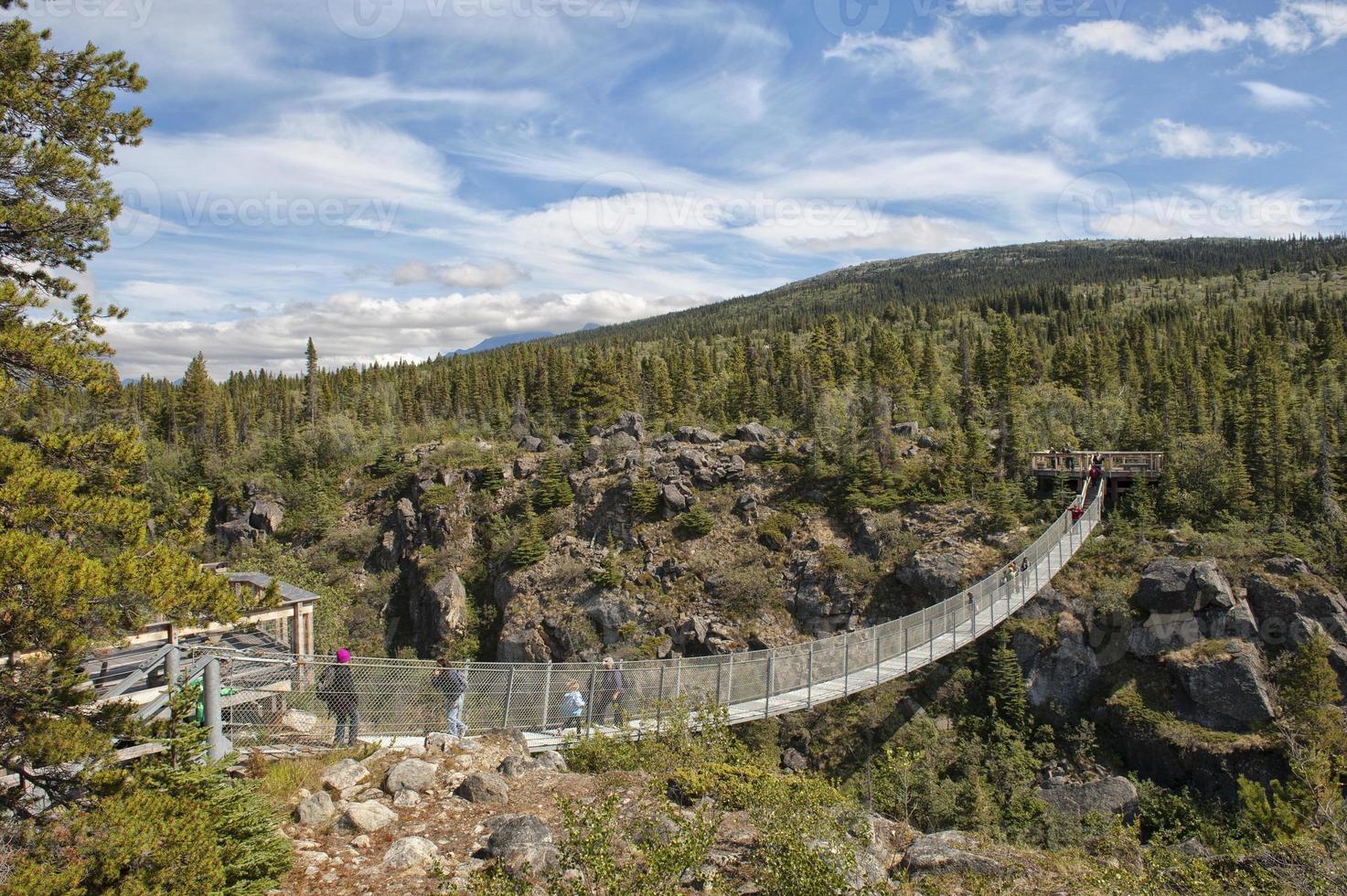 suspenso ponte dentro Canadá foto