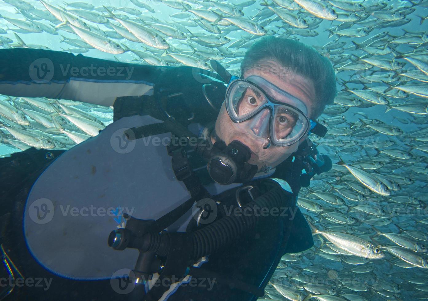 retrato de mergulhador enquanto mergulhava dentro de um cardume de peixes debaixo d'água foto