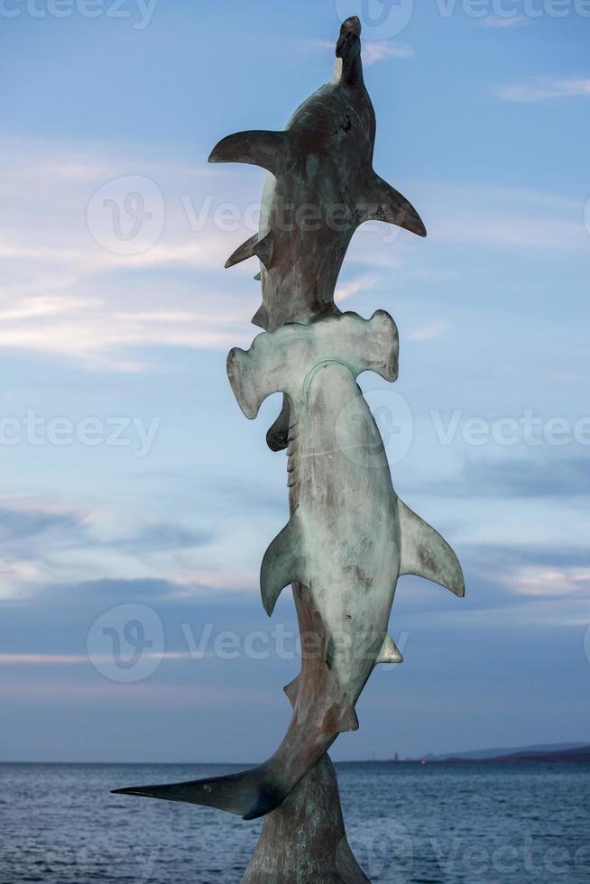 cabeça de martelo Tubarão estátua às pôr do sol de a mar foto