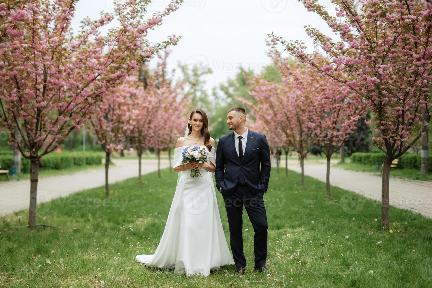 recém-casados andar dentro a parque entre cereja flores foto