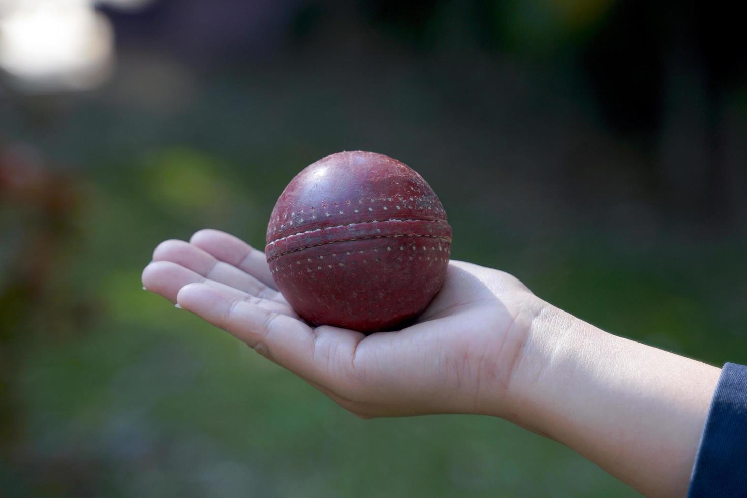 as jogadoras asiáticas seguram a bola de clicket na mão enquanto praticam pela primeira vez no campo de grama. foto