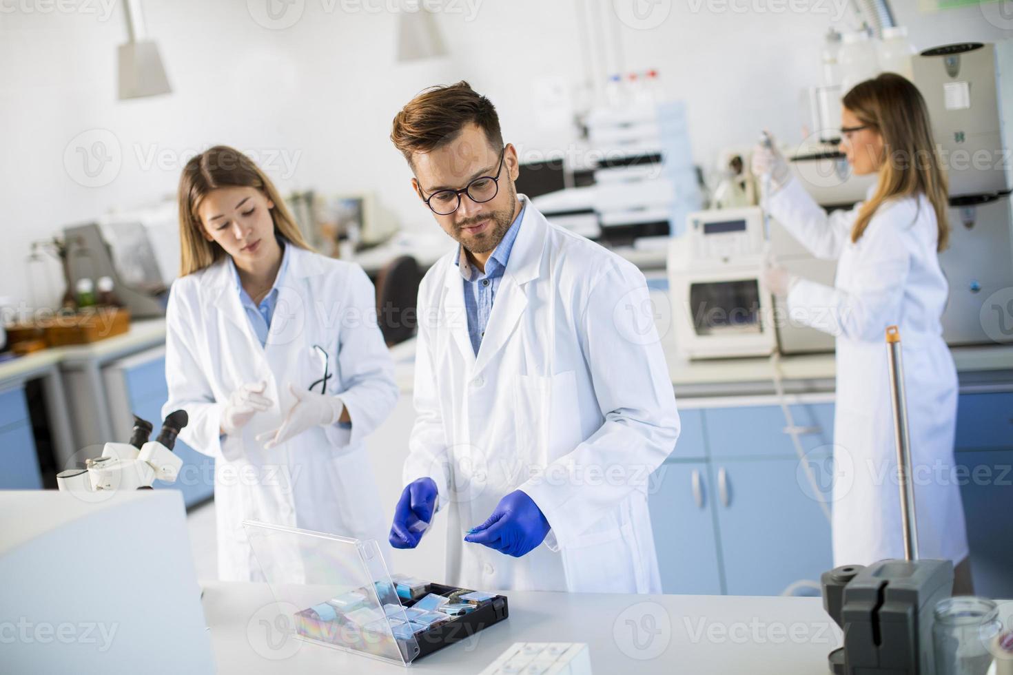 grupo de jovens pesquisadores analisando dados químicos em laboratório foto