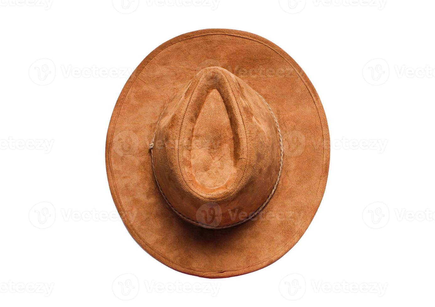 2205 Castanho fedora chapéu isolado em uma transparente fundo foto