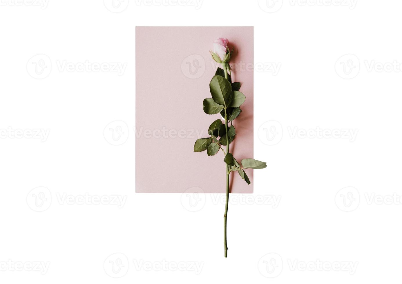 2022 Rosa caderno com uma rosa isolado em uma transparente fundo foto