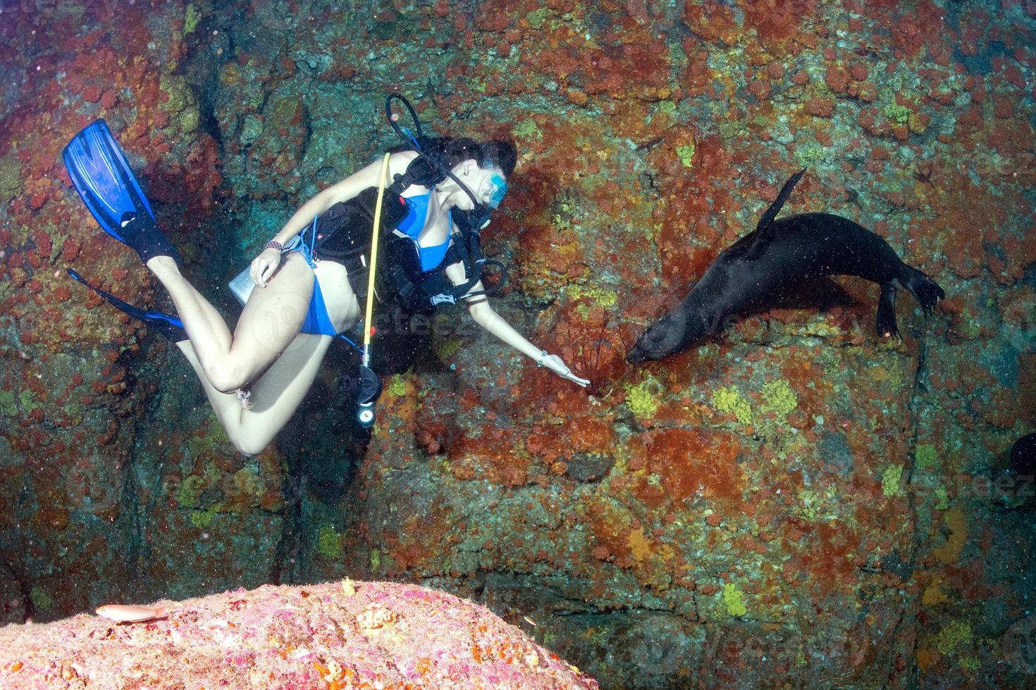 bonito latina mergulhador jogando com mar leão embaixo da agua foto