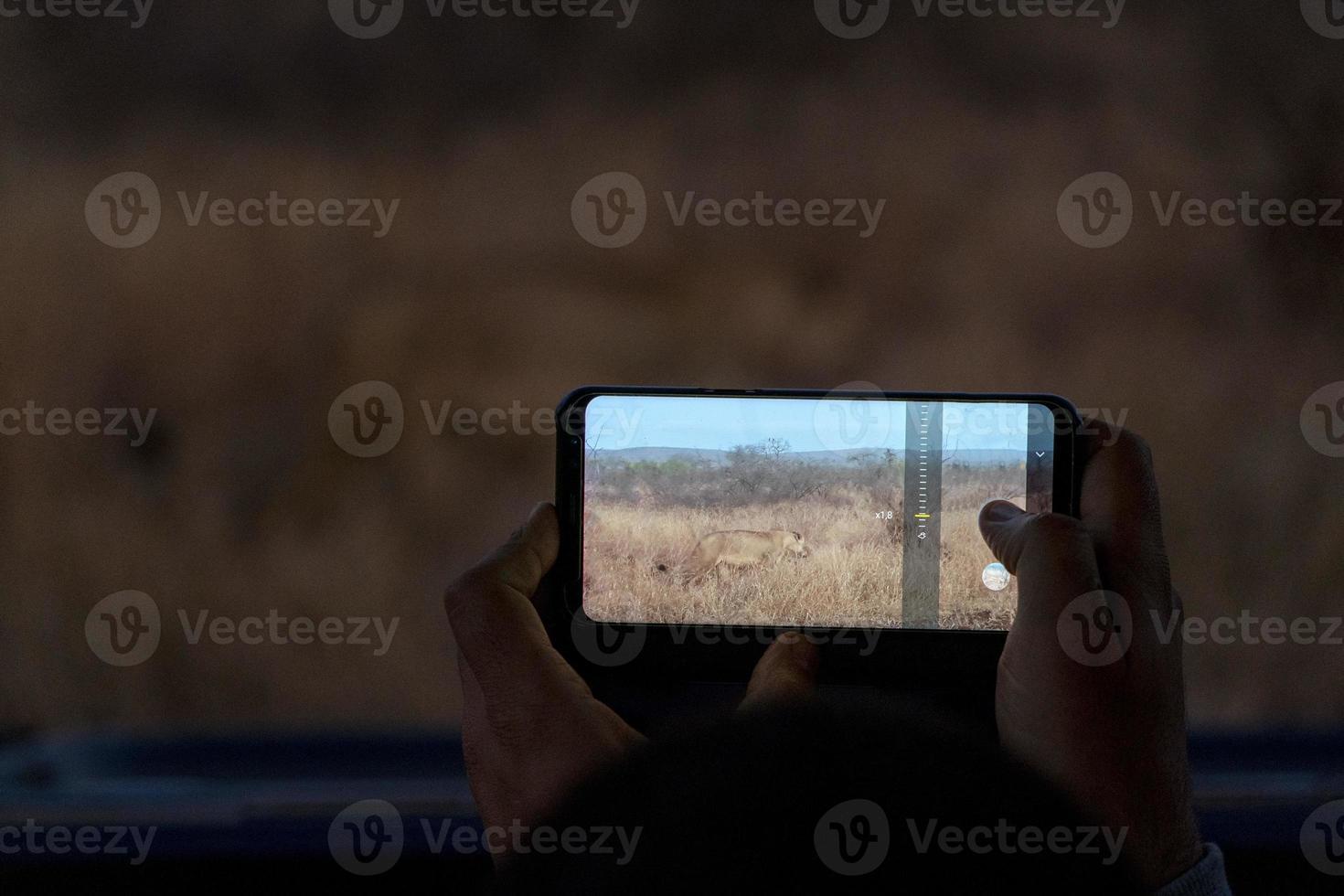 safári fotógrafo levando cenário do leão às noite dentro Kruger parque sul África foto