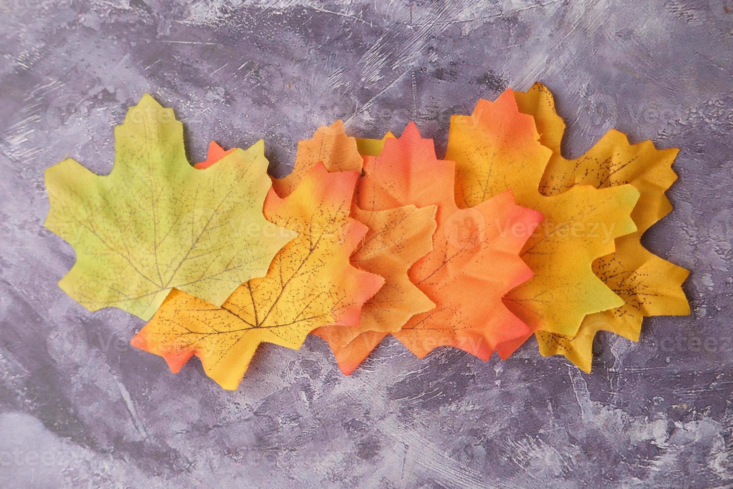 folhas de bordo de outono isoladas em fundo de ardósia, de cima para baixo foto