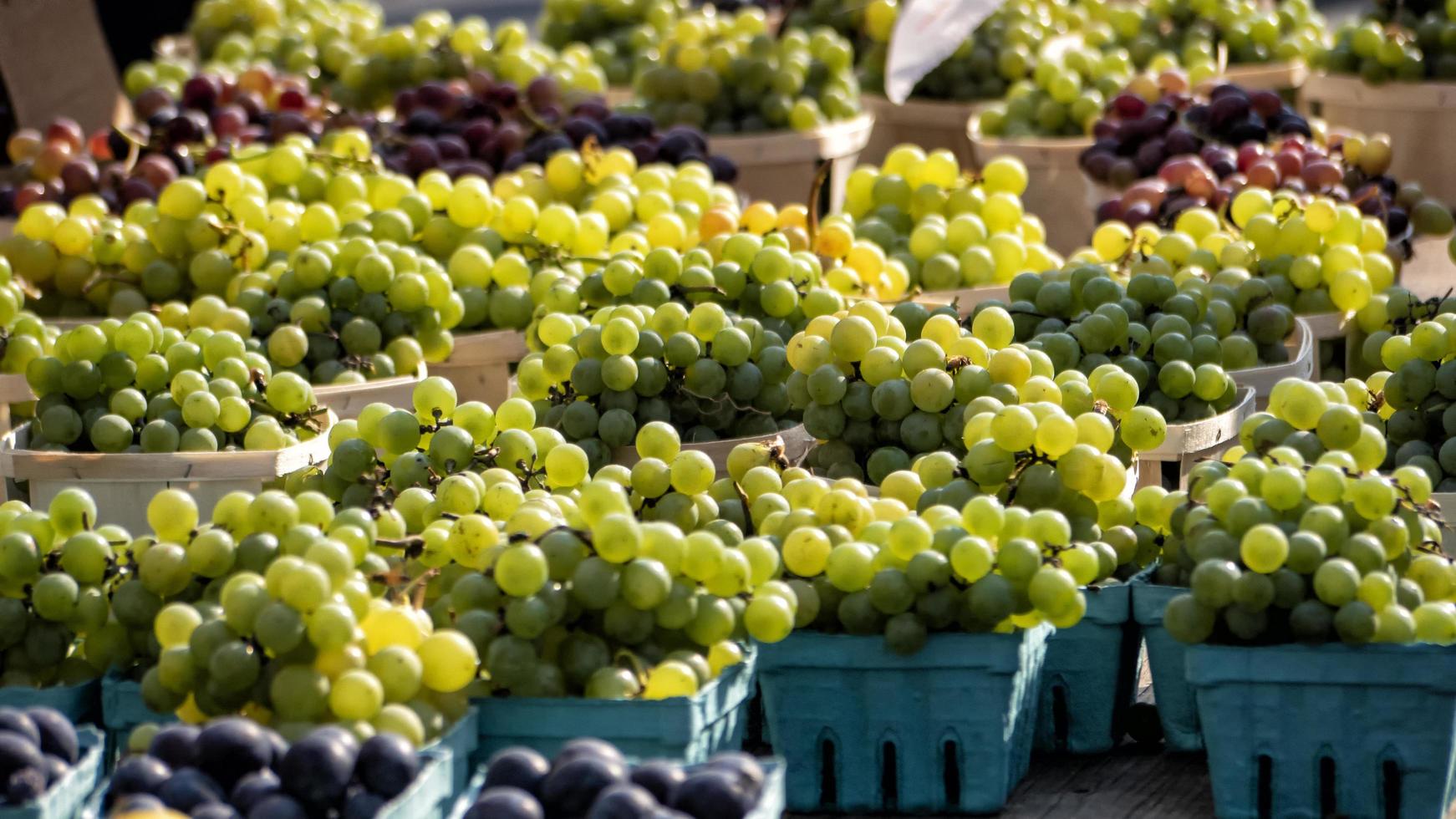 várias cores de uvas à venda no mercado foto